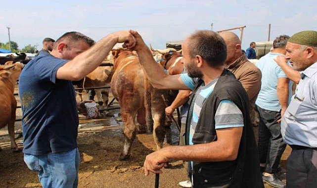 Patnos'ta canlı hayvan pazarı yeniden açıldı