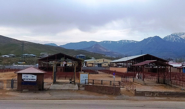 Şap hastalığı ile ilgili yasak kalktı