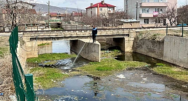 Tatvan'da larvalara karşı ilaçlama çalışmaları başladı