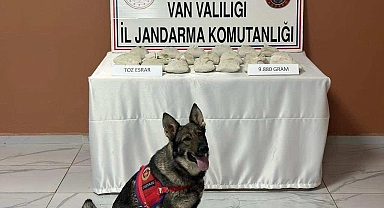 Van'da 9 kilo 880 gram toz esrar ele geçirildi