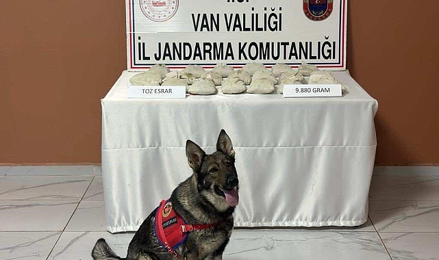 Van'da 9 kilo 880 gram toz esrar ele geçirildi