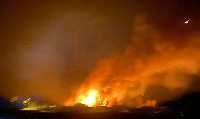 Erciş'te sazlık alanda yangın....