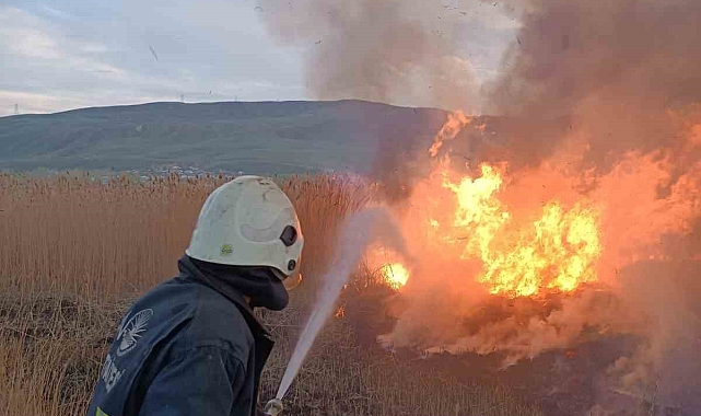 Van'da sazlık alanlarda yangın