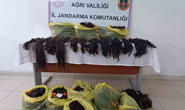 Ağrı'da 397 adet insan saçı ele geçirildi