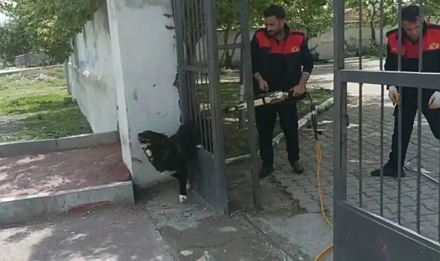 Ağrı'da Demir Kapıya Sıkışan Köpek İtfaiye Tarafından Kurtardı