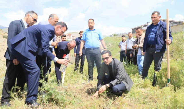 "Dünya Tütünsüz Günü'nde fidan dikildi