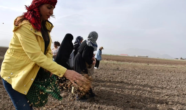 Kadınlar toprağa hayat verdi
