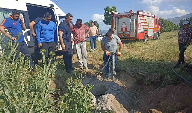 Kapağı çalınan menhole düşen inek 2 saatlik çalışma sonucu kurtarıldı