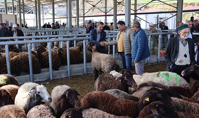 Küçükbaş kurbanlıklara ilgi daha fazla