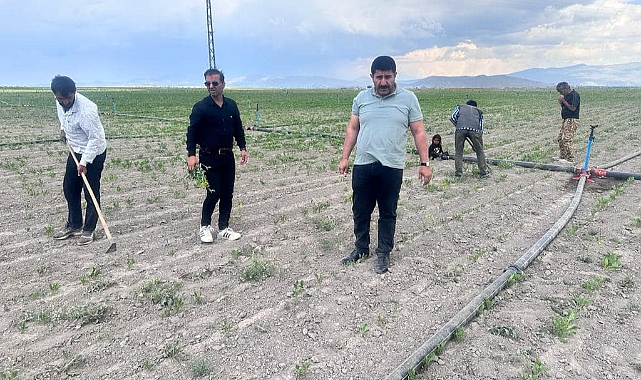 Patnos Ziraat Odası Başkanı mühendislerle sahada