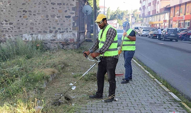 Ağaçlar budanıp yabani otlar temizlendi
