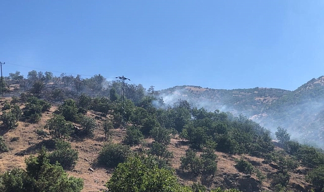 Bingöl'de ormanlık alanda korkutan yangın