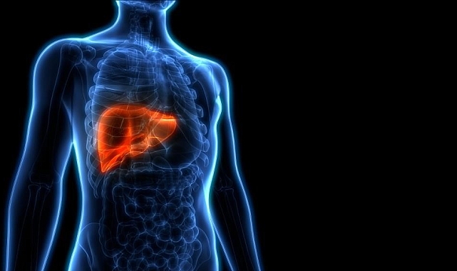 Hepatite karşı "Bilgilenin, aşılanın, korunun!"