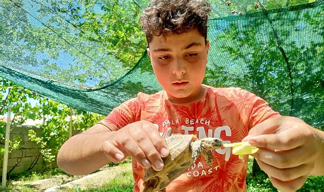Bulduğu kaplumbağayı sahiplendi, evde elleriyle besliyor