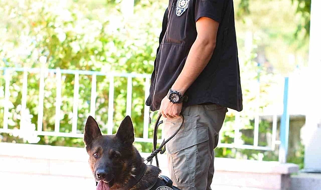 Narkotiğin 'Odin'i uyuşturucu tacirlerine göz açtırmıyor