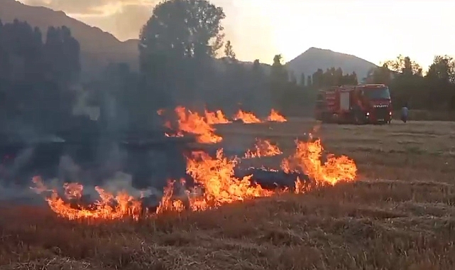 Anız yangını itfaiyenin müdahalesiyle söndürüldü