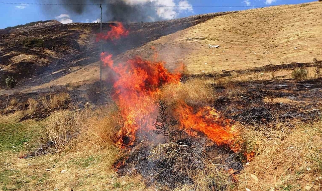 Bitlis'te 12 hektarlık alanda örtü yangını çıktı