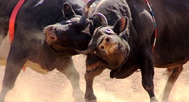 Burası İspanya değil Muğla