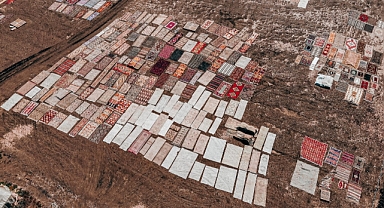 Halı tarlalarında güneşin soldurduğu milyonluk halıların hasadı başladı