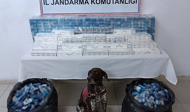 Ağrı&#039;da 3 tırda kaçak akaryakıt ve sigara ele geçirildi