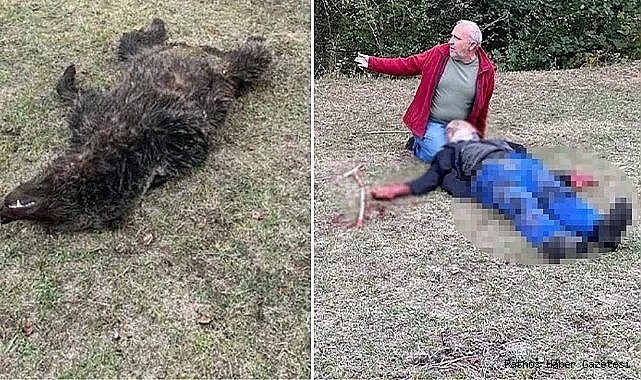 Ayı Saldırısından Yaralı Kurtarıldı