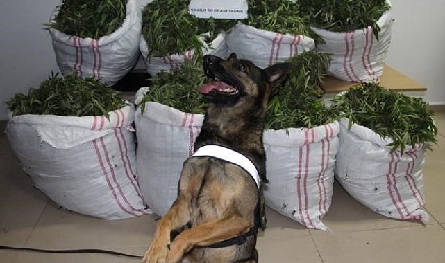 Bingöl'de bir haftada 112 kilo uyuşturucu ele geçirildi