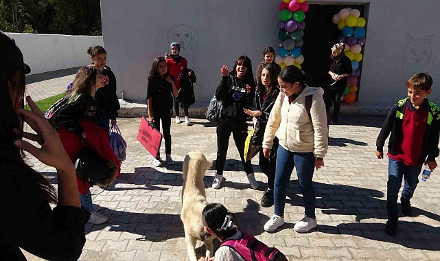 Bitlis'te gönüllü veterinerler, öğrencilere hayvan sevgisini aşıladılar