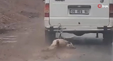 Köpeği kilometrelerce sürükledi...
