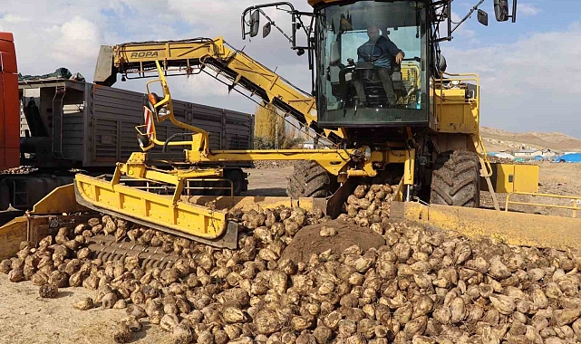 Şeker pancarı alım fiyatı ton başına bin 855 lira
