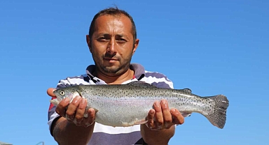 Türk Somonu dünyaya yayılıyor