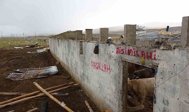 Van'da hortum: 2 kişi yaralandı, bir çiftlik zarar gördü