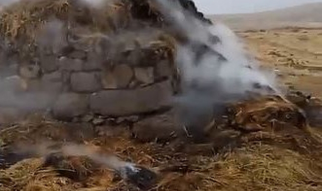 Van'ın Erciş ilçesinde yıldırım düştü, 3 bin bağ ot yandı