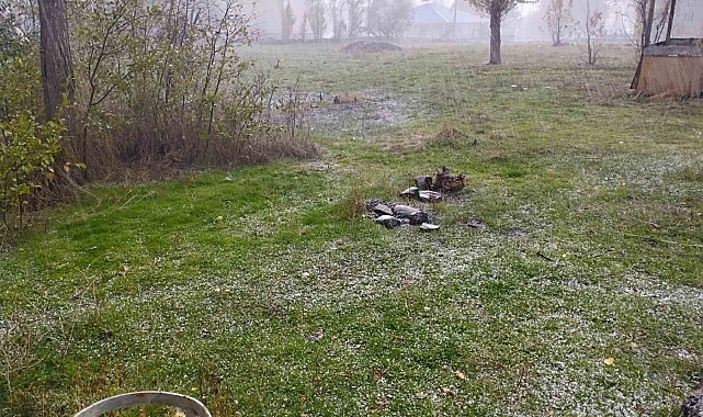 Varto'da dolu yağışı