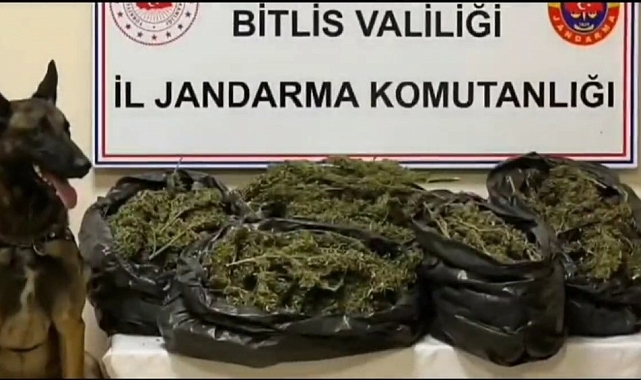 10 kilo 200 gram skunk maddesi ele geçirildi