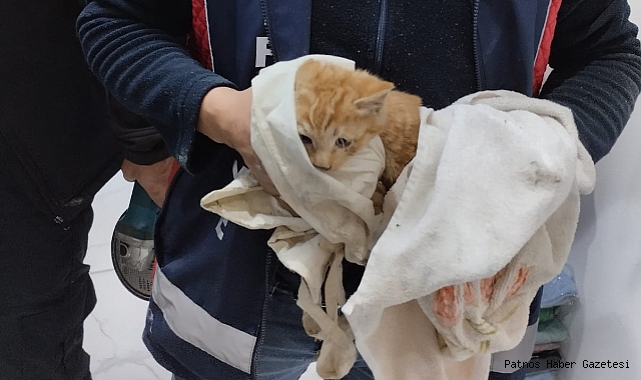 Ağrı’da duvar arasına sıkışan kediyi itfaiye kurtardı
