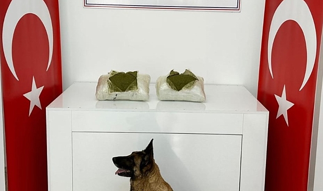 Araziye gömülü 12 kilo 550 gram esrar ele geçirildi