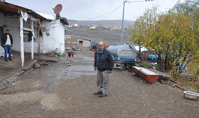 Büyükbaş Hayvan Hırsızlığı...