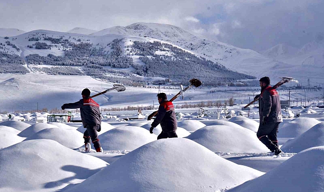 Erzurum'da Çekilen Görüntü Hayrete Düşürdü