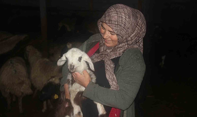 Kadın girişimci devletten aldığı destekle hayvancılık yapıyor