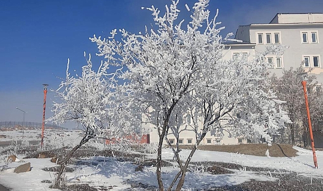 Van Çaldıran buz kesti kartpostallık görüntü oluştu