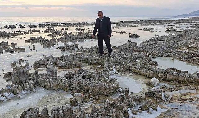 Van Gölü sahillerinde suların çekilmesiyle mikrobiyalit tarlası meydana geldi