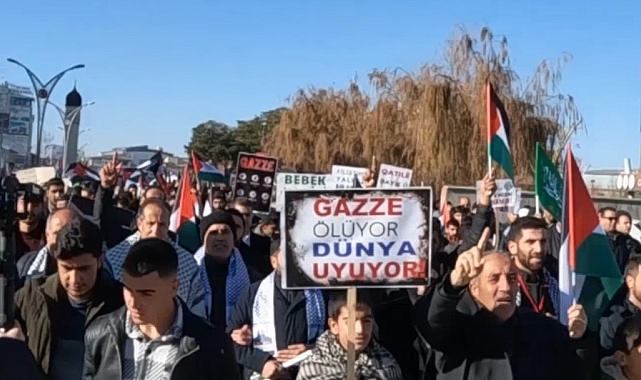 Van'ın Erciş İlçesinde 'Filistin'e özgürlük İsrail'e lanet' yürüyüşü