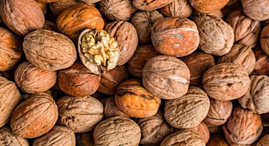 5 ton 600 kilo kaçak ceviz ele geçirdi