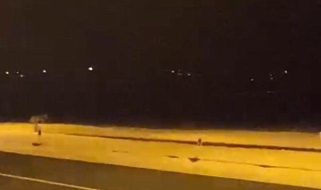 Aç kurtlar şehir merkezine indi