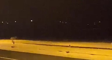 Aç kurtlar şehir merkezine indi