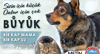 Ağrı Belediyesi'nden sokak hayvanları için " 1 kap mama 1 kap su" kampanyası