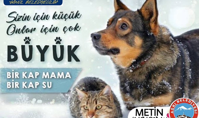 Ağrı Belediyesi'nden sokak hayvanları için " 1 kap mama 1 kap su" kampanyası