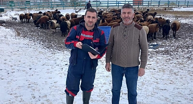 Ağrı'da 5 bin 250 yetiştirici küçükbaş desteklemesi başvurusu yaptı