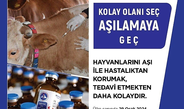 Ağrı’da şap hastalığına karşı aşı dozu bu yıl 3'e yükseltildi, üreticilerden aşı bedeli alınmayacak