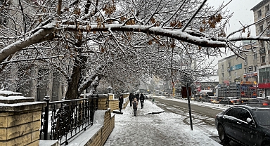 Ağrı'ya 2024 yılının ilk karı yağdı (Videolu Haber)